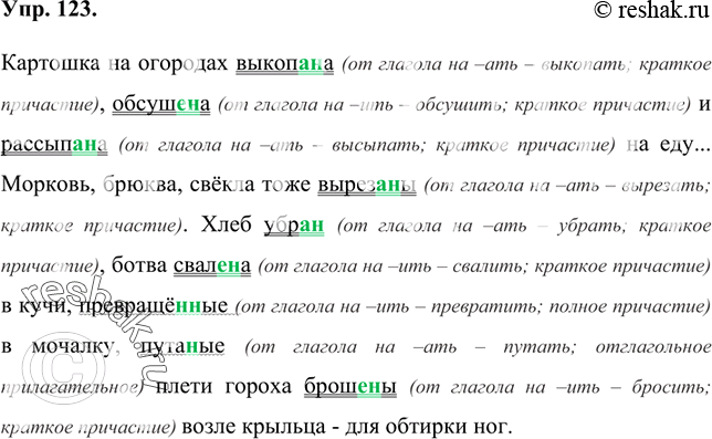 Изображение 123 Спишите, вставляя пропущенные буквы и раскрывая скобки. Выделите суффиксы причастий. Подчеркните причастия как члены предложения.	Картошка на огородах выкоп..(н,...