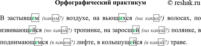 Изображение Действительные (провер. слово действовать; суффикс –тель-) и страдательные (словарное слово) причастия (словарное слово), причастный (словарное слово; непроизносимый...
